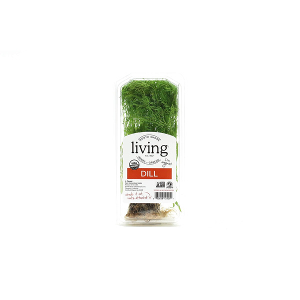 North Shore Living Dill