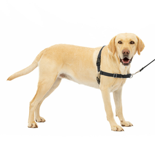 PetSafe Easy Walk Harness, No Pull Dog Harness, Large, Black