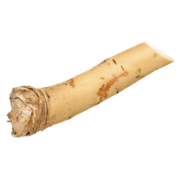 Horseradish Root