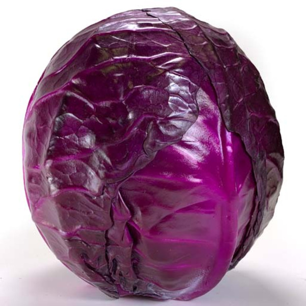 Red Cabbage