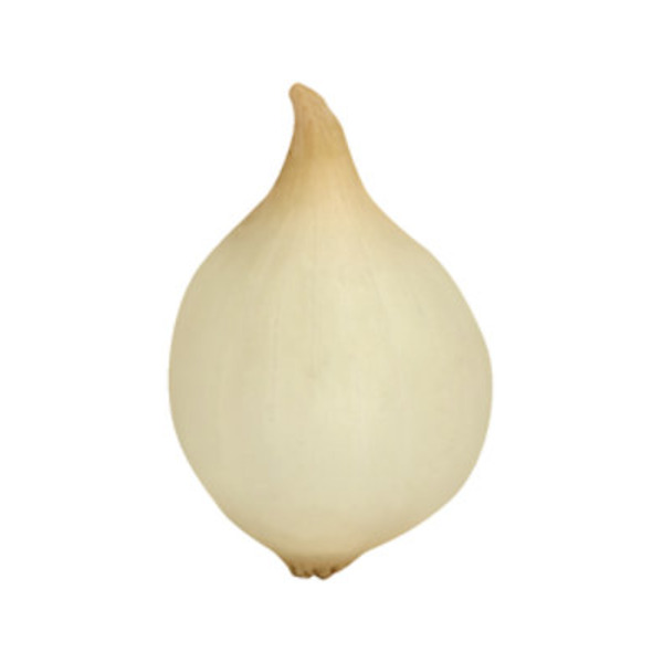 Panda Farms Gold Pearl Onions