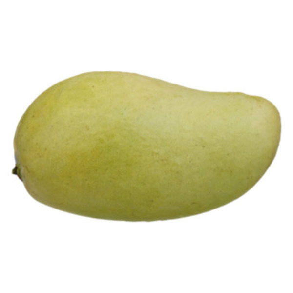 Diazteca Ataulfo Mango