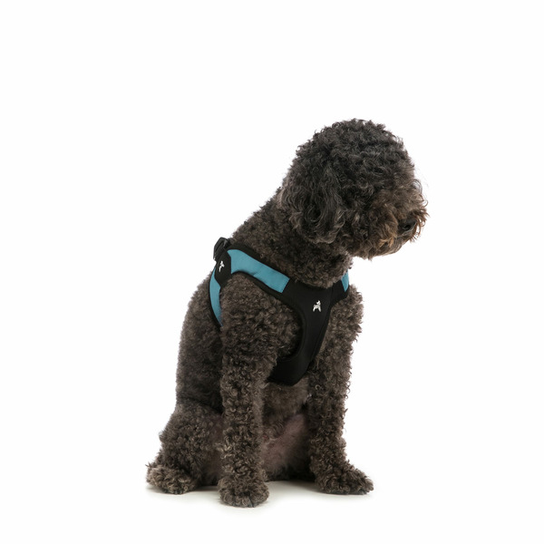 Gooby Teal Small Easy Fit Padded Step In Dog Harness