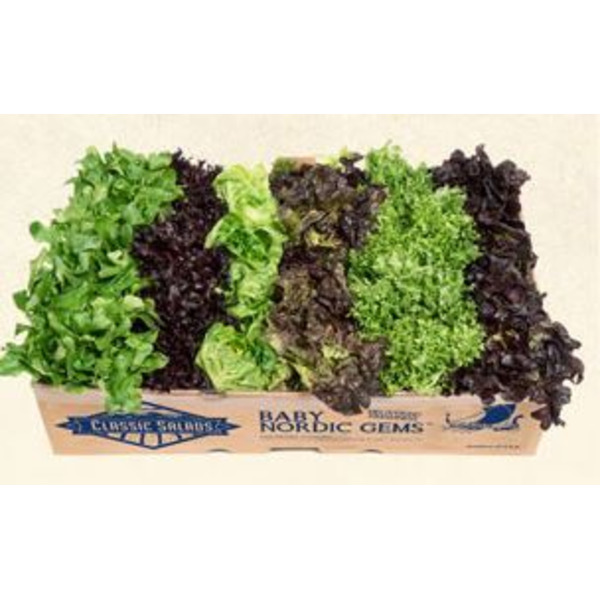 Nordic Blend Salad - 3 lb