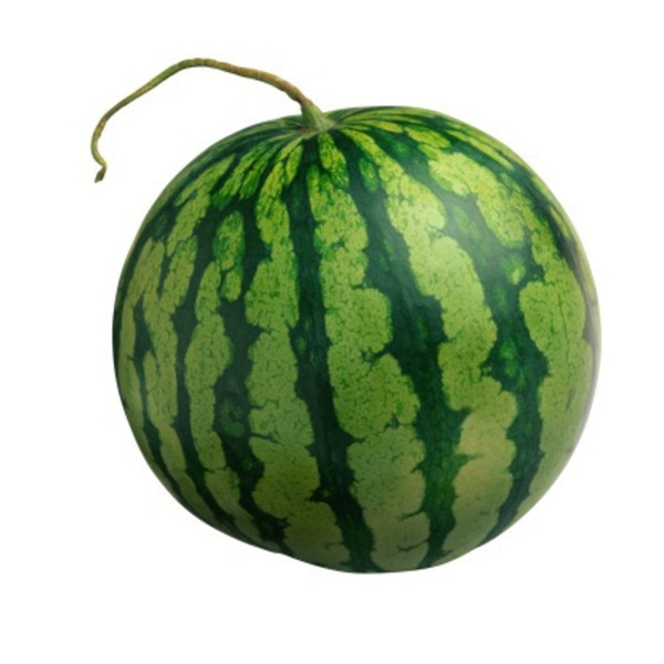 Organic Petite Watermelon