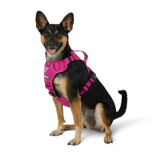 Arcadia Trail Quick Dry Dog Harness, XL - Pink