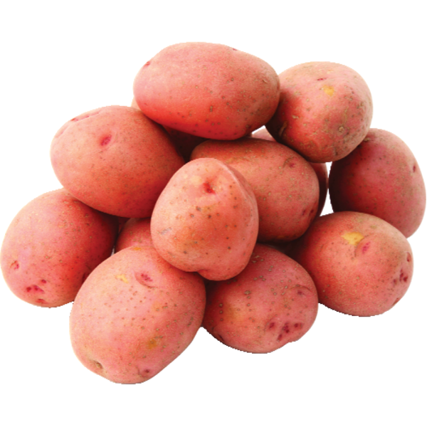 Red Potato