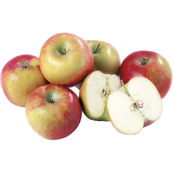 Fuji Apple