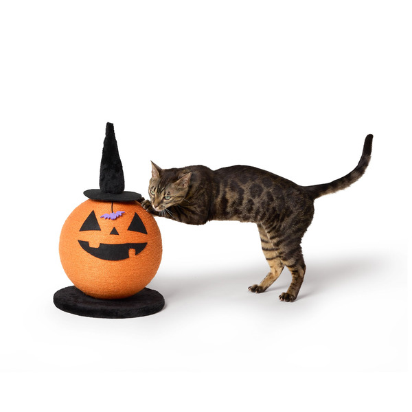 Thrills & Chills Halloween Pumpkin Witch Cat Scratching Post, 11.8 x 11.8 in