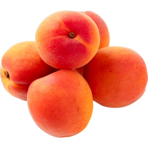 Apricot