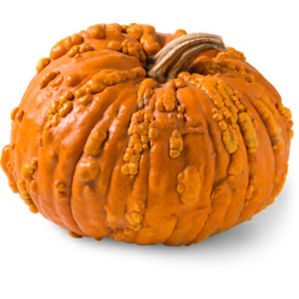 Perry & Sons Pumpkin