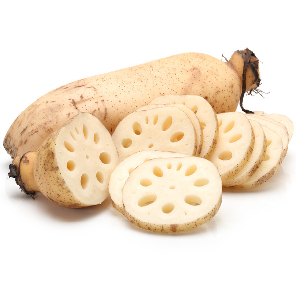 Lily Root