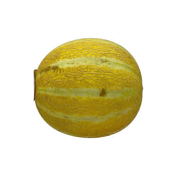 Eagle Produce LLC Scale Lemondrop Melon