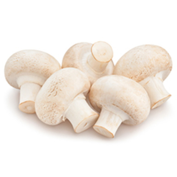 White Mushroom