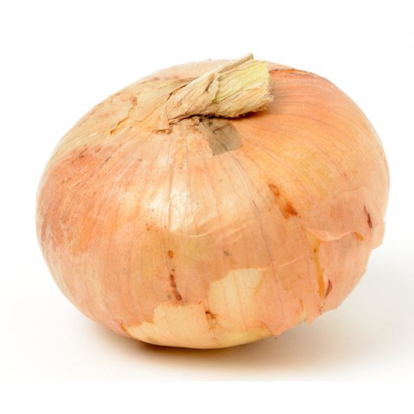 Sweet Onion - 10 lb bag