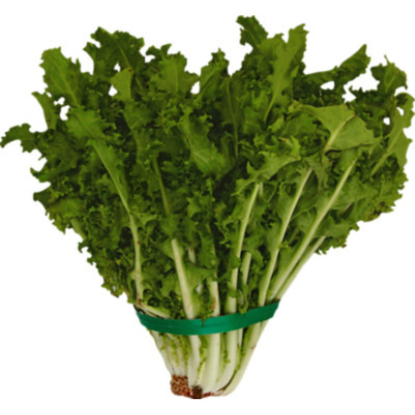 Frisee (Chickory) Lettuce