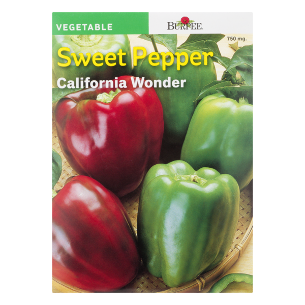 Burpee California Wonder Pepper - Thumbnail 2