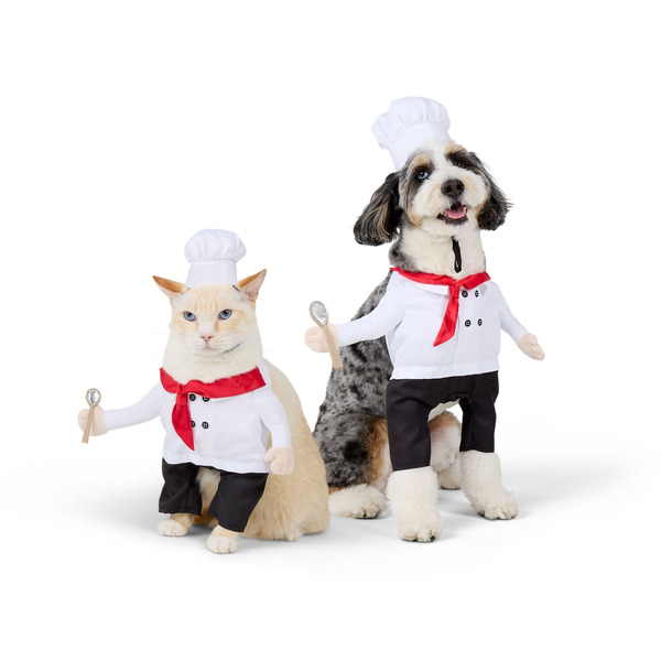 Thrills & Chills Chef Dog Costume, Medium