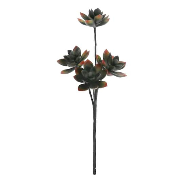 Ashland Black & Red Echeveria Pick