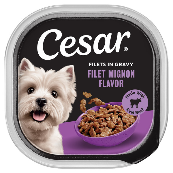 Cesar Filets in Gravy Adult Wet Dog Food, Filet Mignon Flavor, 3.5 oz. Tray