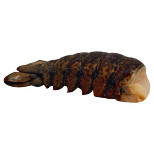 3 Ounce Previously Frozen Raw Min Lobster Tail