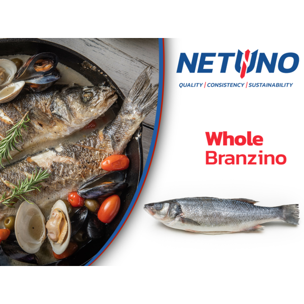 NETUNO USA � Whole Branzino, Gilled, Gutted, & Scaled � �-1 lb each - 10 lbs