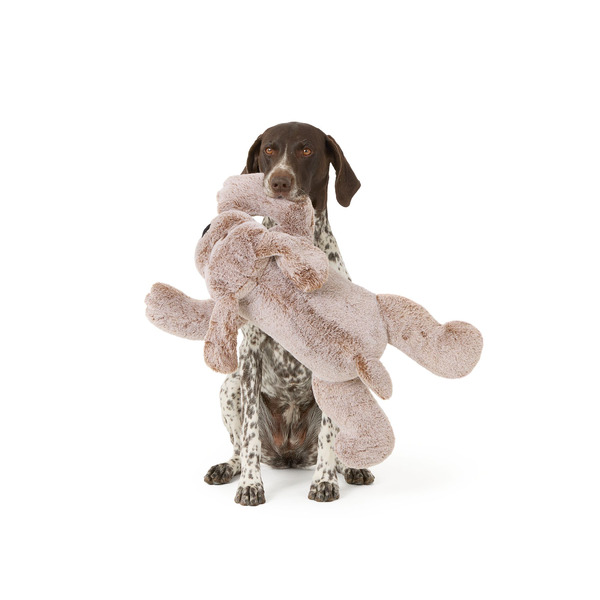 Thrills & Chills Halloween Plush Dog Toy, XL - Brown
