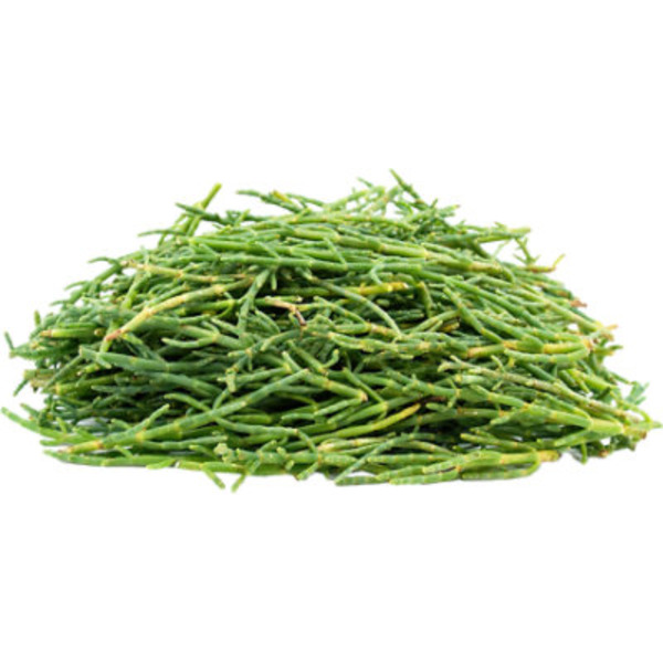 Sea Beans