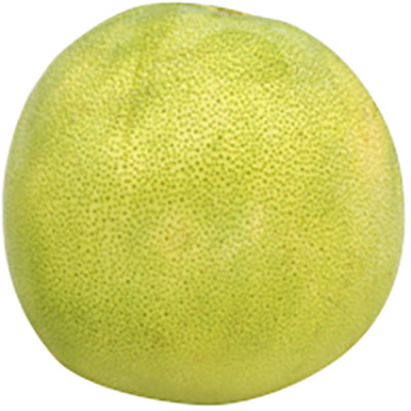 Pummelo Grapefruit