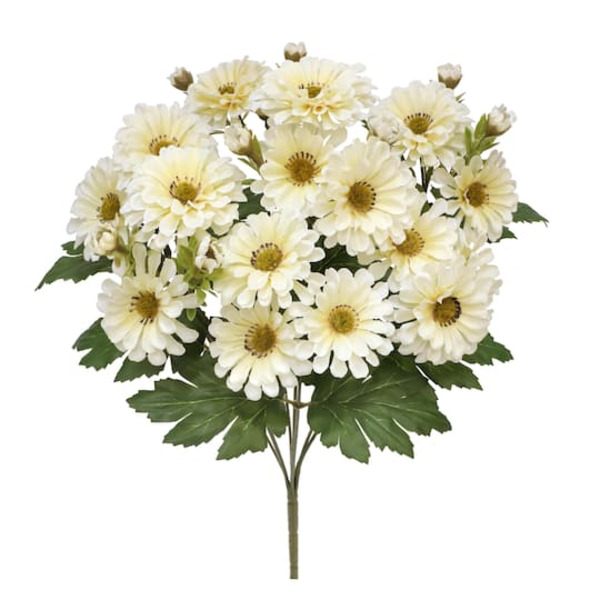 Ashland Zinnia Bush