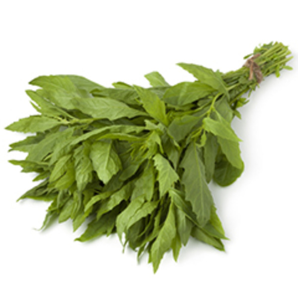 Epazote