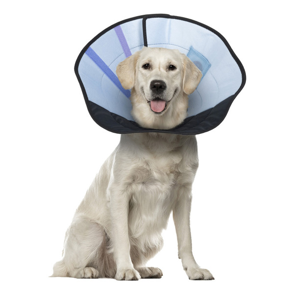 Calm Paws Premium Soft Caring Dog Collar With Calming Disk