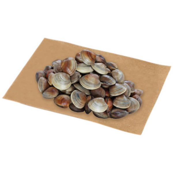 Fresh Littleneck Clams