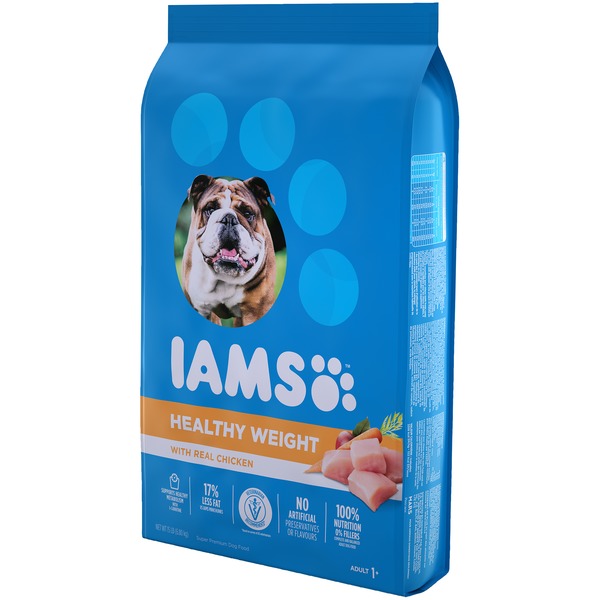 publix iams dog food