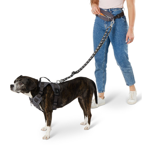 Arcadia Trail Hands-Free Running Dog Leash - Grey