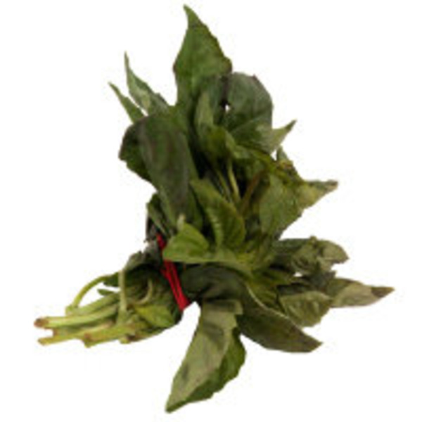 Basil Bunch