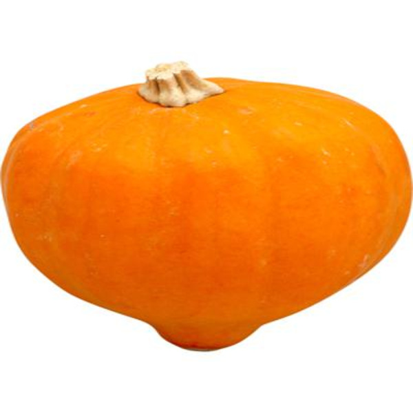 Acorn Squash