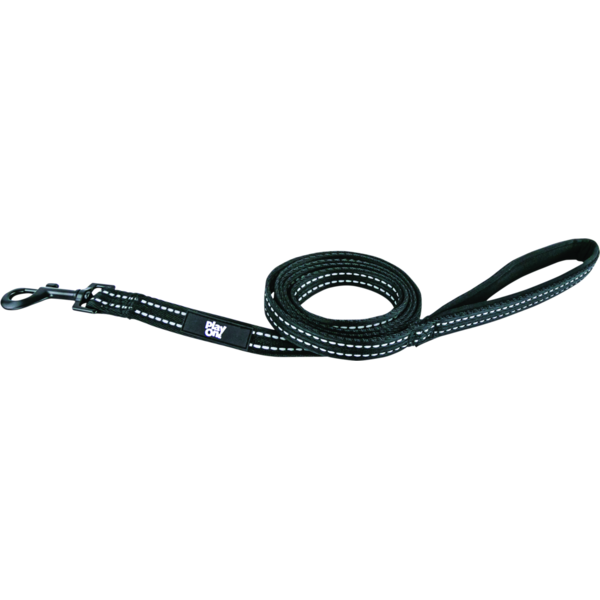 Play On Adventure Nylon Reflect Dog Leash, Medium - Black