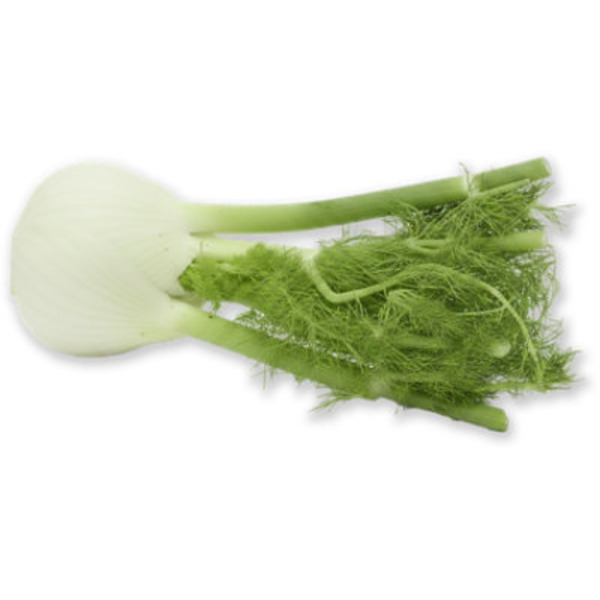 Ocean Mist Farms Fennel, Sweet Anise