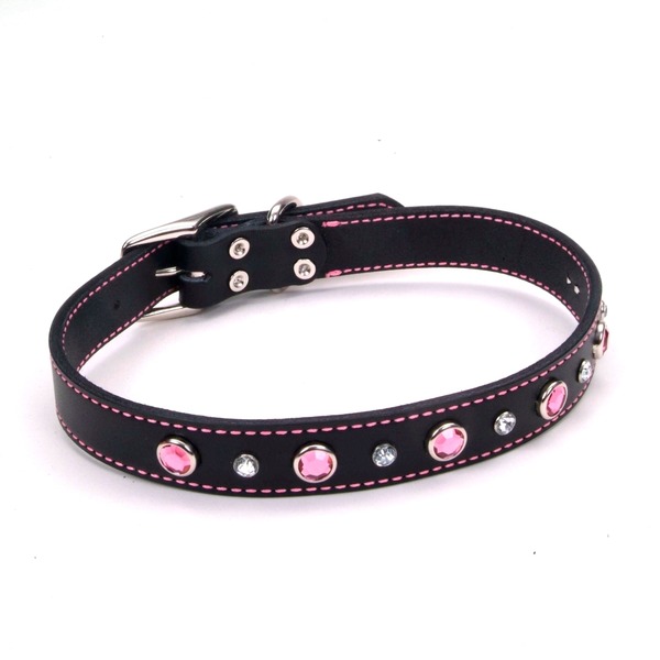 collars petco petco jeweled leather collar in black 24 quot l x 1 5 quot w from petconow instacart collars petco petco jeweled leather collar in black 24 quot l x 1 5 quot w from petconow instacart