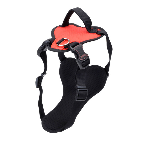 Coastal Inspire Harness - Red