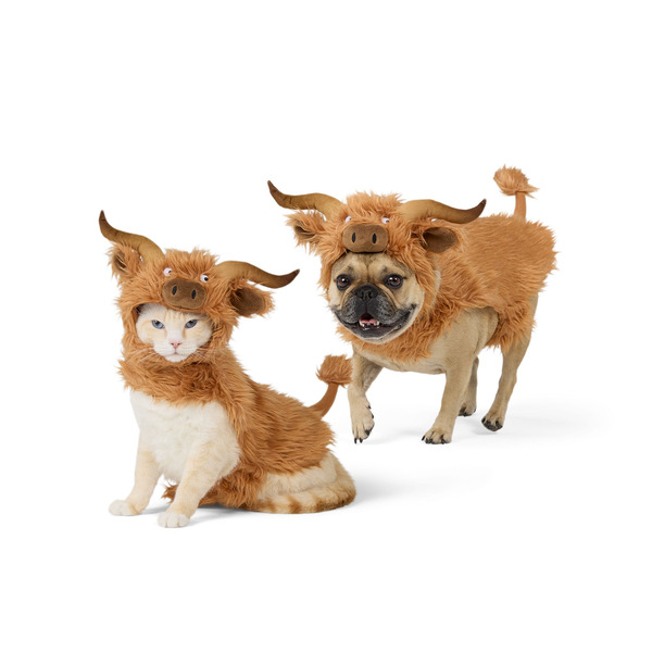 Thrills & Chills Highland Cow Dog & Cat Costume, Medium