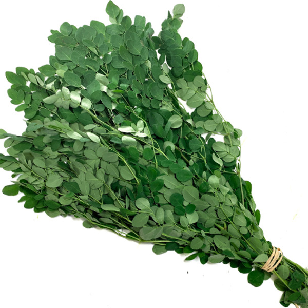 Malangal Leaf