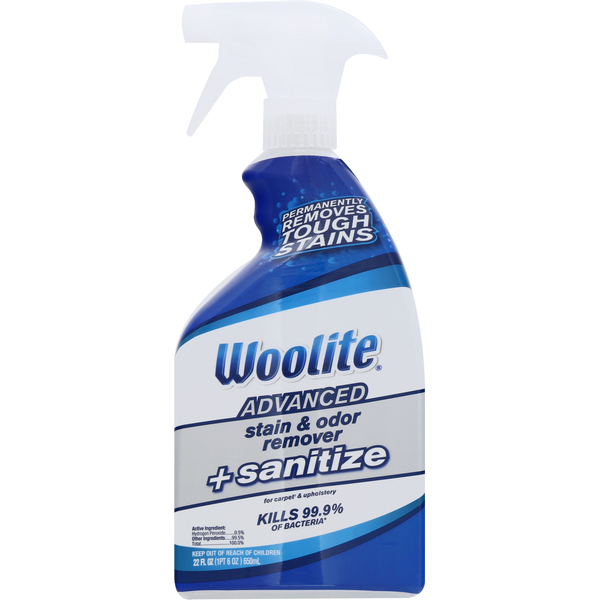 Woolite Stain & Odor Remover + Sanitize, Advanced (22 oz) Instacart
