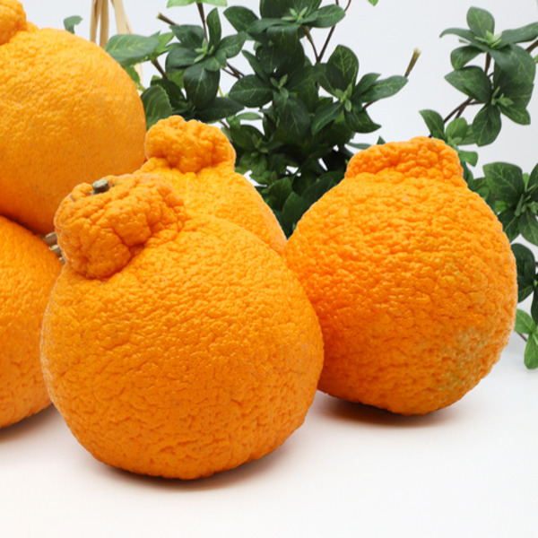 Tangerine