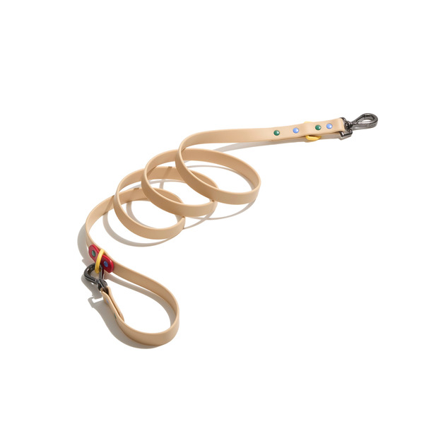 Wild One Retro Colorblock Waterproof Dog Leash, M/L