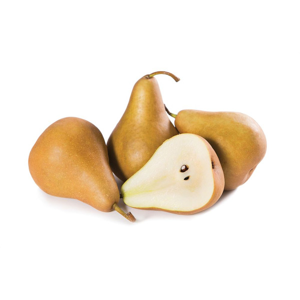 Bosc Pear