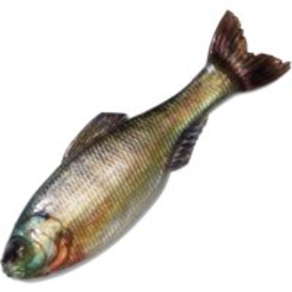 6th Sense Fishing Panorama Soft Jerkbait
