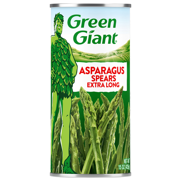 ASPARAGUS パーカー（フーディ） XL 緑色 XLARGE（エクストラ ラージ） 全2色 パーカー PYTHON SLANTED OG