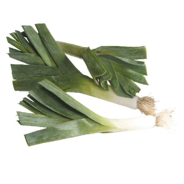 Organic Leeks